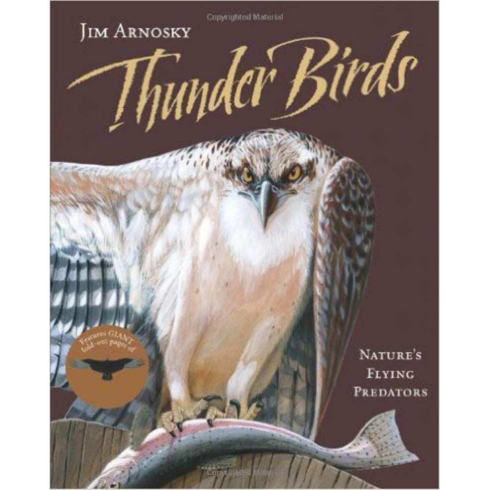 Thunder Birds: Natures Flying Predators