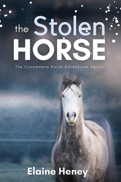 The Stolen Horse - Book 4 in the Connemara Horse Adventure Series for Kids The Perfect Gift for Children age 8-12 (Connemara Adventures)