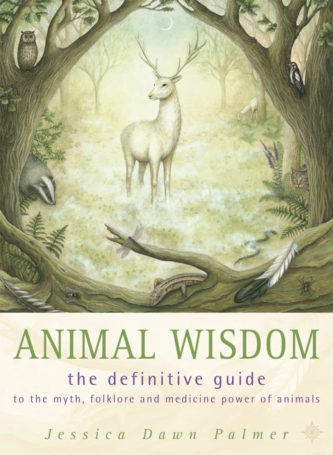 Animal Wisdom by Jessica Dawn Palmer
