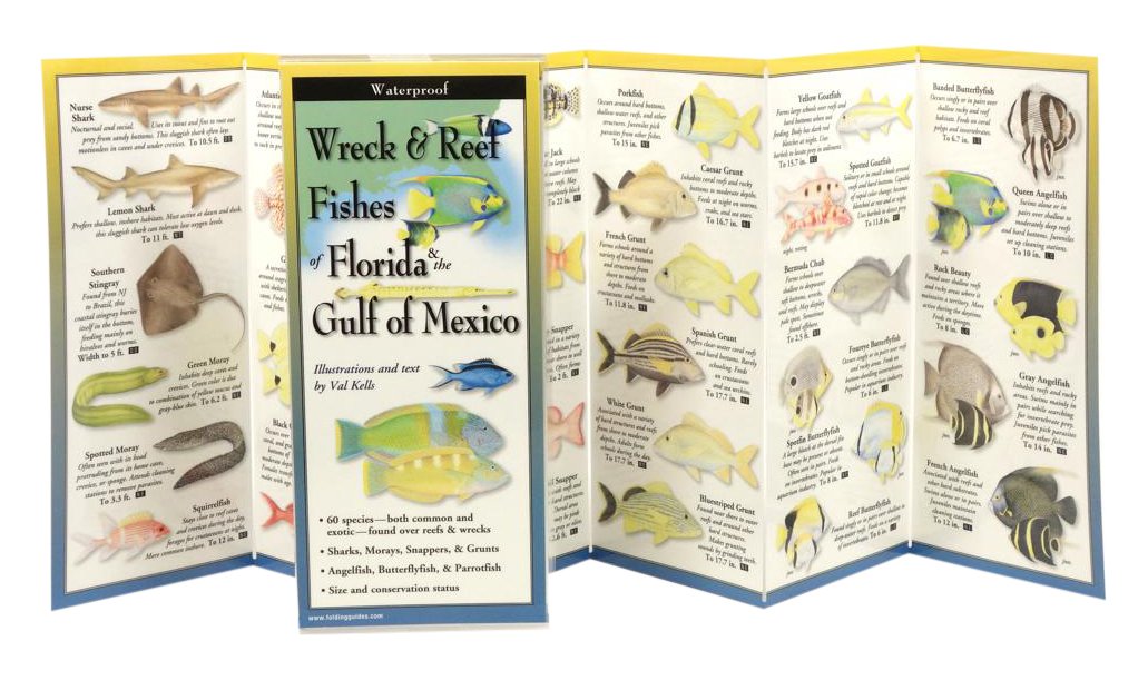 Wreck & Reef Fishes of Florida & Gulf of Mexico (Foldingguides)