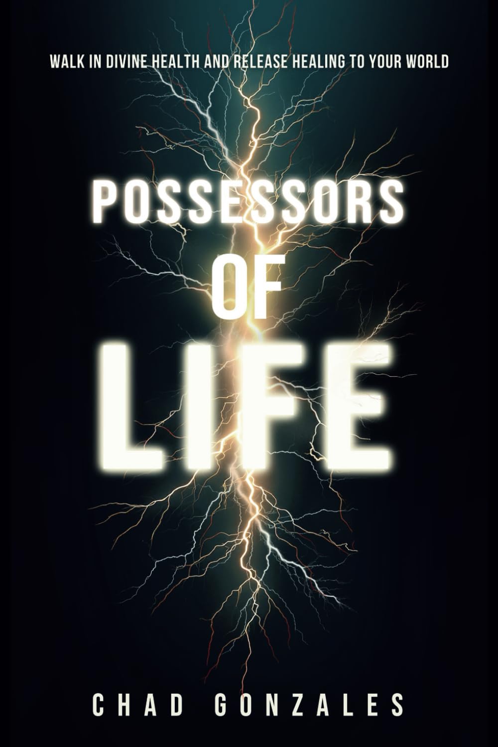 Possessors of Life: Walk in Divine Health and Bring Healing to Your World