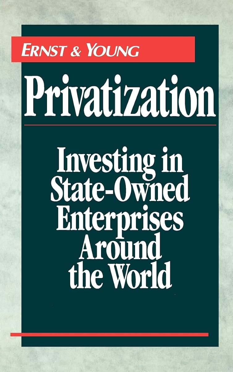 Privatization: Investing in State-Owned Enterprises Around the World