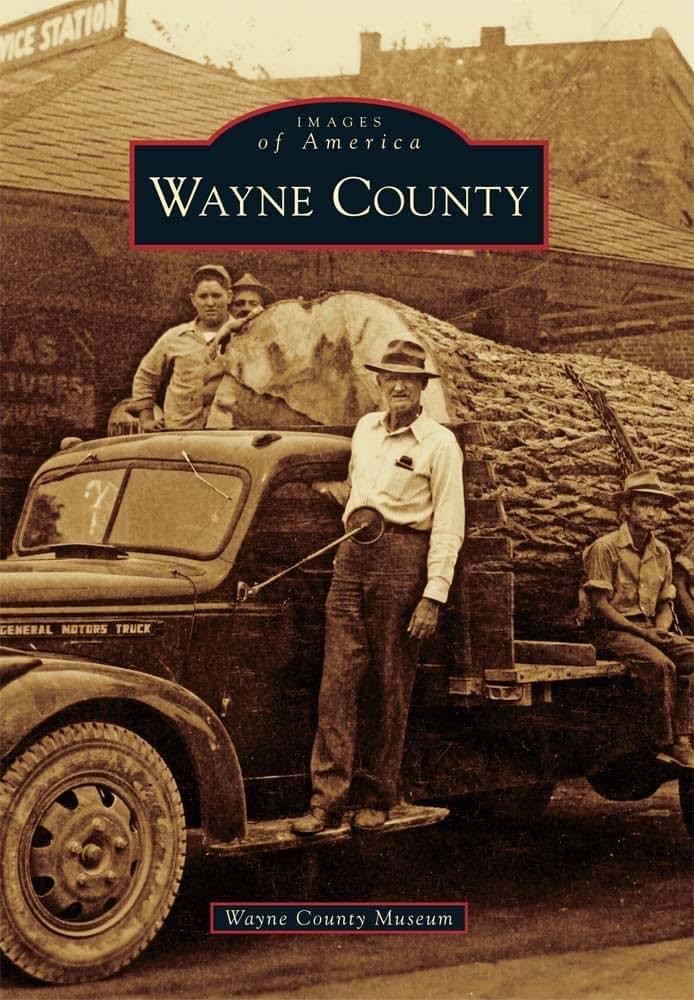 Wayne County (Images of America)