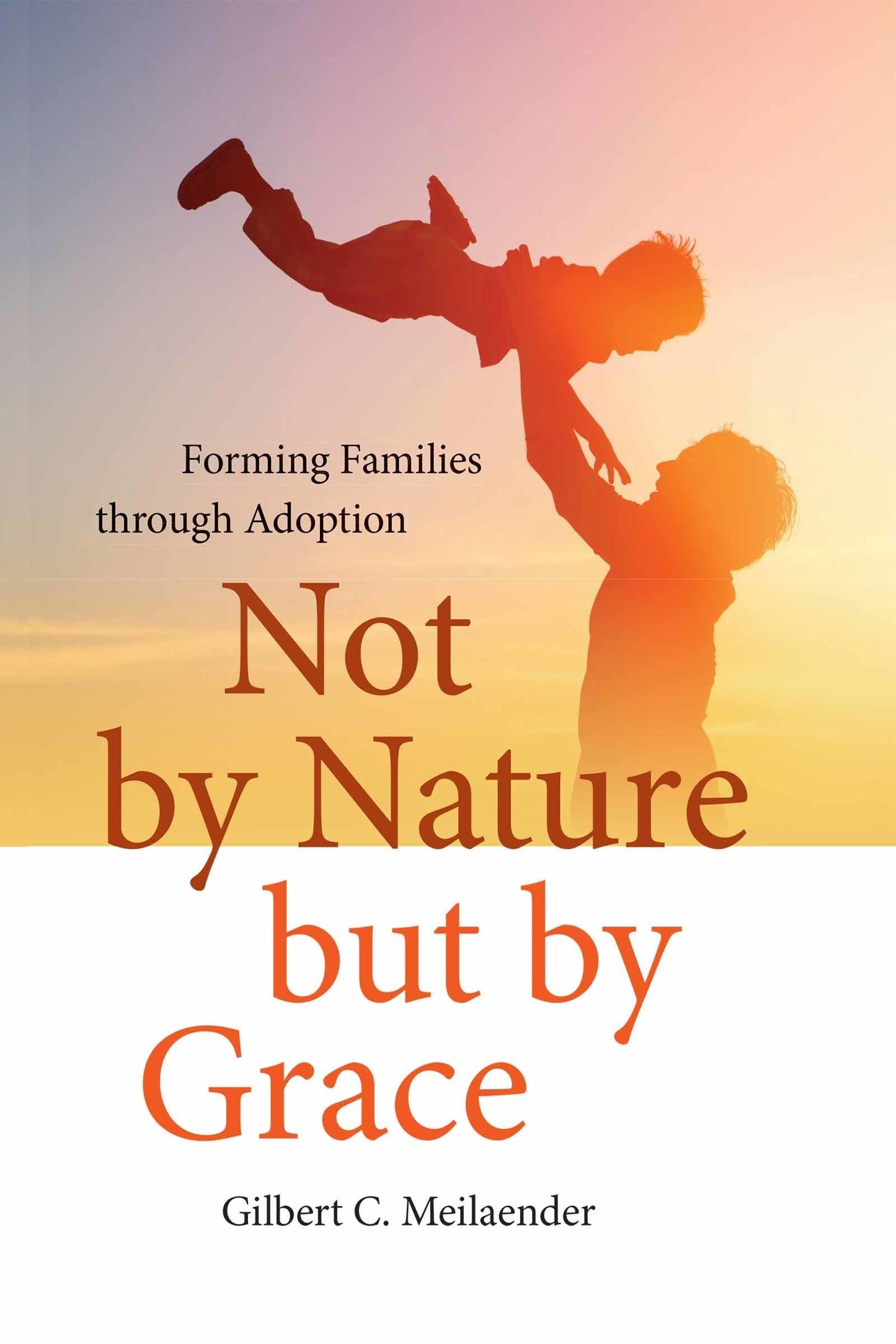 Not by Nature but by Grace: Forming Families through Adoption (Catholic Ideas for a Secular World)