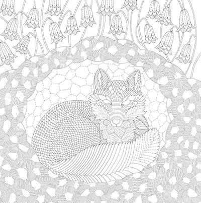 Millie Marotta's Woodland Wild (A Millie Marotta Adult Color
