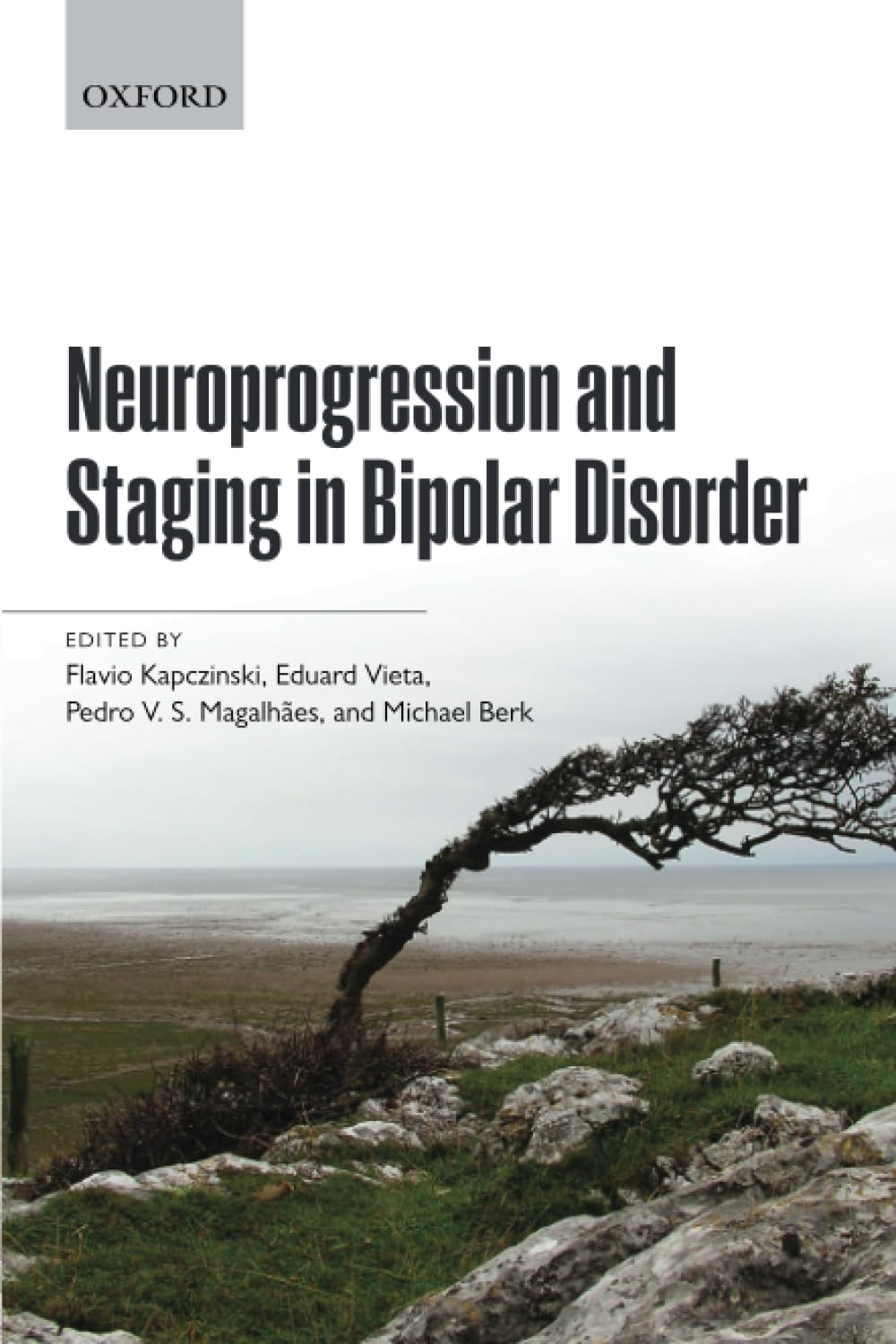 Neuroprogression and Staging in Bipolar Disorder