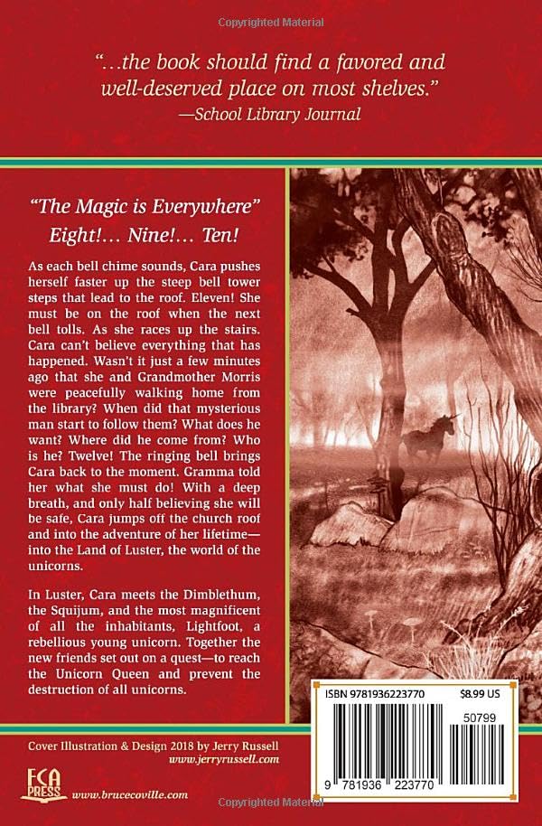 INTO THE LAND OF THE UNICORNS (Unicorn Chronicles)