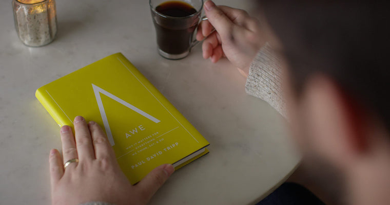 Awe: Why It Matters for Everything We Think, Say, and Do — back cover