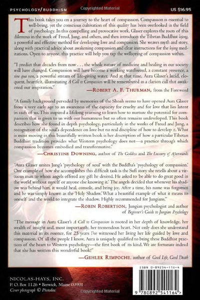 A Call to Compassion: Bringing Buddhist Practices of the Heart into the Soul of Psychology