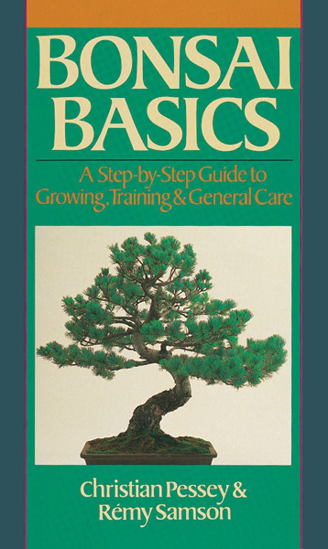 Bonsai Basics: A Step-By-Step Guide To Growing, Training & G