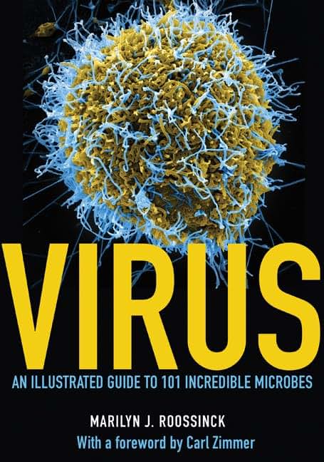 Virus: An Illustrated Guide to 101 Incredible Microbes by Ro