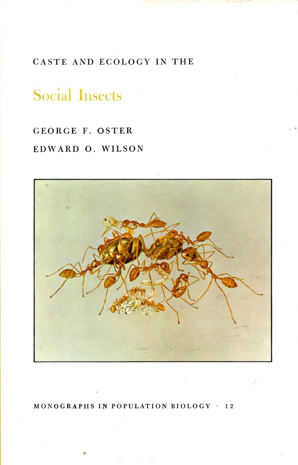 Caste and Ecology in the Social Insects. (MPB-12), Volume 12 (Monographs in Population Biology, 12)