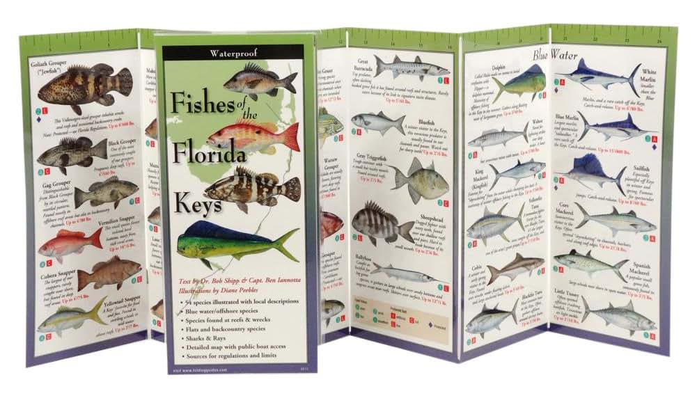 Earth Sky + Water FoldingGuide - Fishes of the Florida Keys - 10 Panel Foldable Laminated Nature Identification Guide