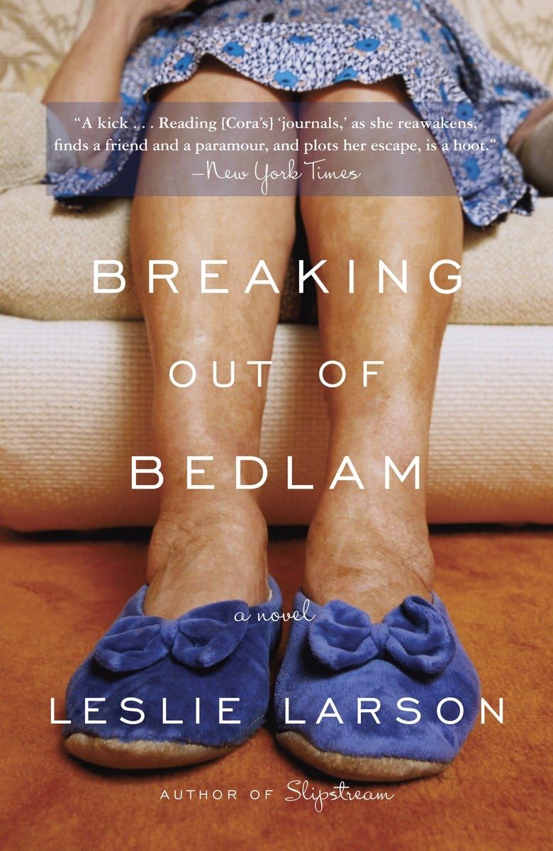 Breaking Out of Bedlam: A Novel