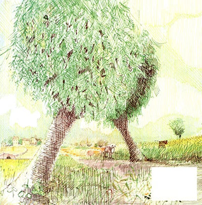 Mr. Gumpy's Outing by John Burningham