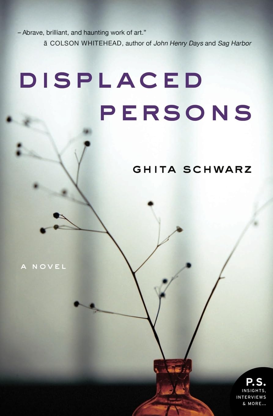 Displaced Persons: A Powerful Literary Novel of Holocaust Survivors Remaking Lives as Immigrants