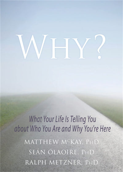 Why?: What Your Life Is Telling You about Who You Are and Why You're Here