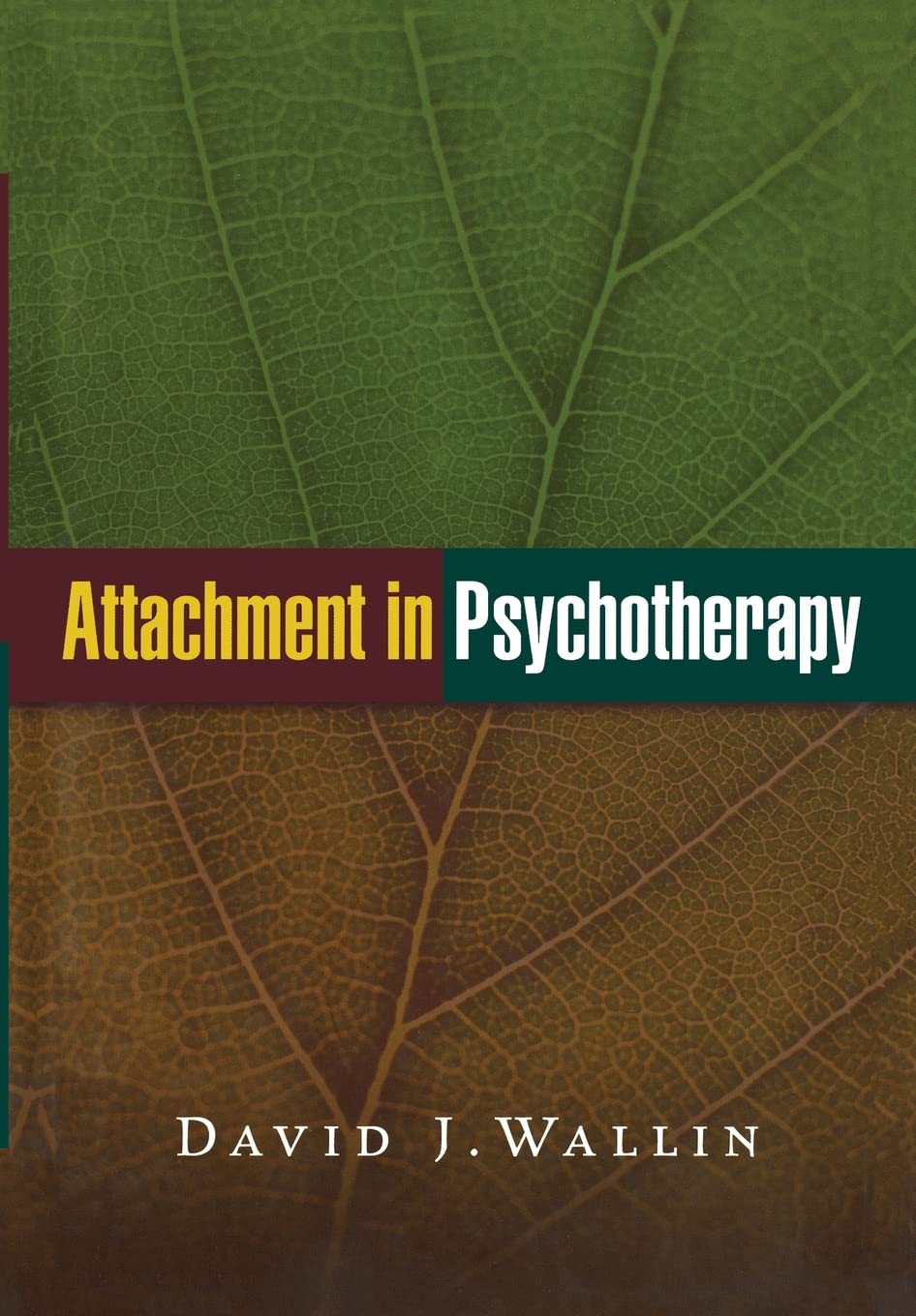 Attachment in Psychotherapy