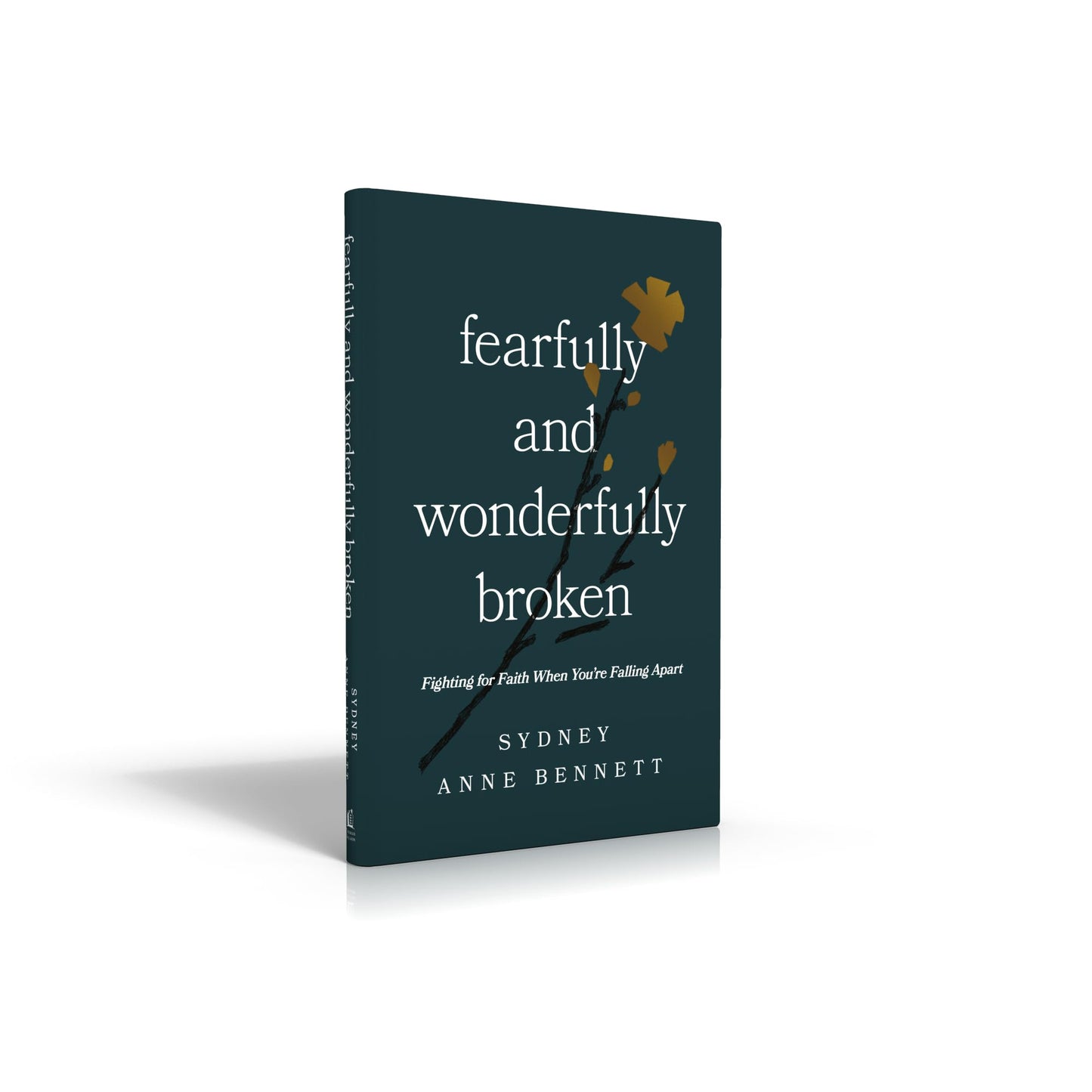 Fearfully and Wonderfully Broken: Fighting for Faith When You're Falling Apart