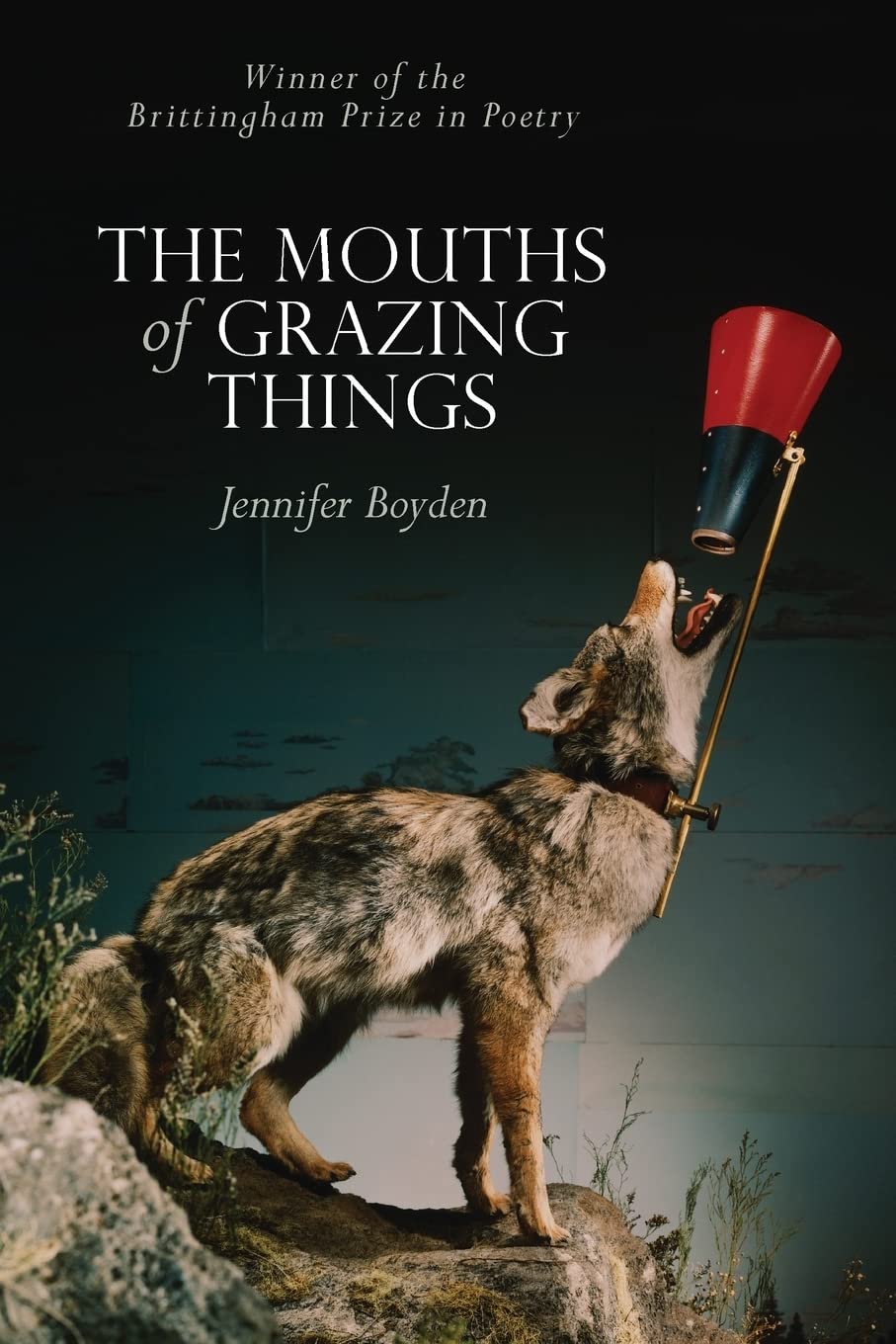 The Mouths of Grazing Things (Wisconsin Poetry Series)