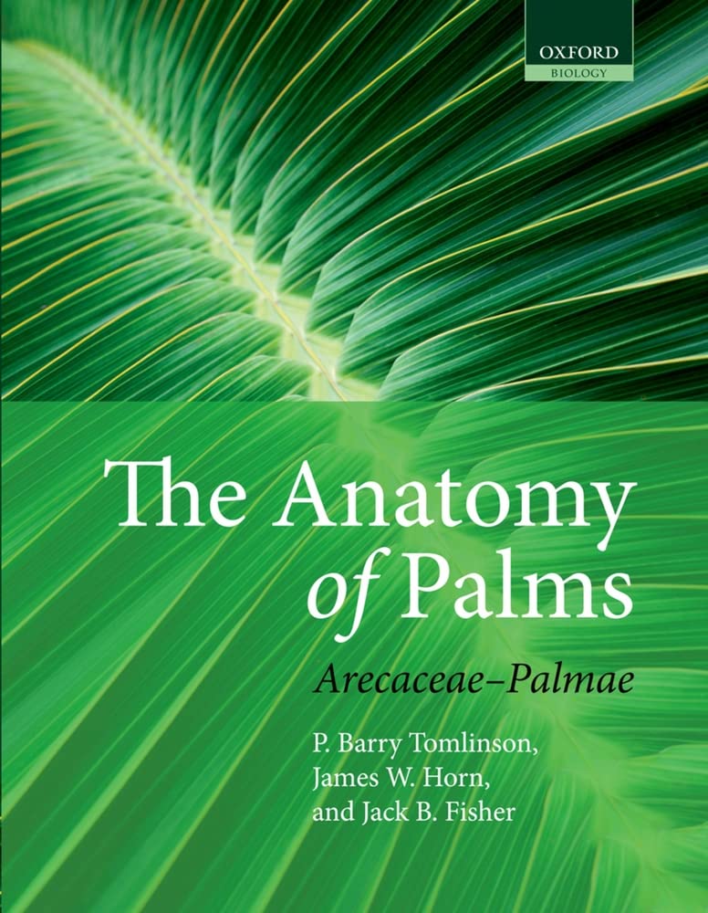 The Anatomy of Palms: Arecaceae - Palmae by Tomlinson, P. Ba