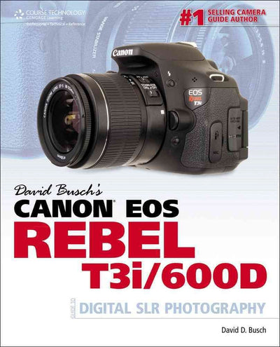 David Buschs Mastering Digital SLR Photography (David Busch's Digital Photography Guides)