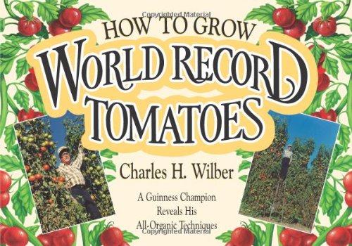 How to Grow World Record Tomatoes: A Guinness Champion Reveals All