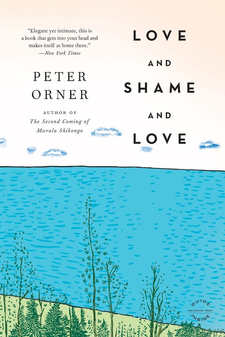 Love and Shame and Love: A Novel