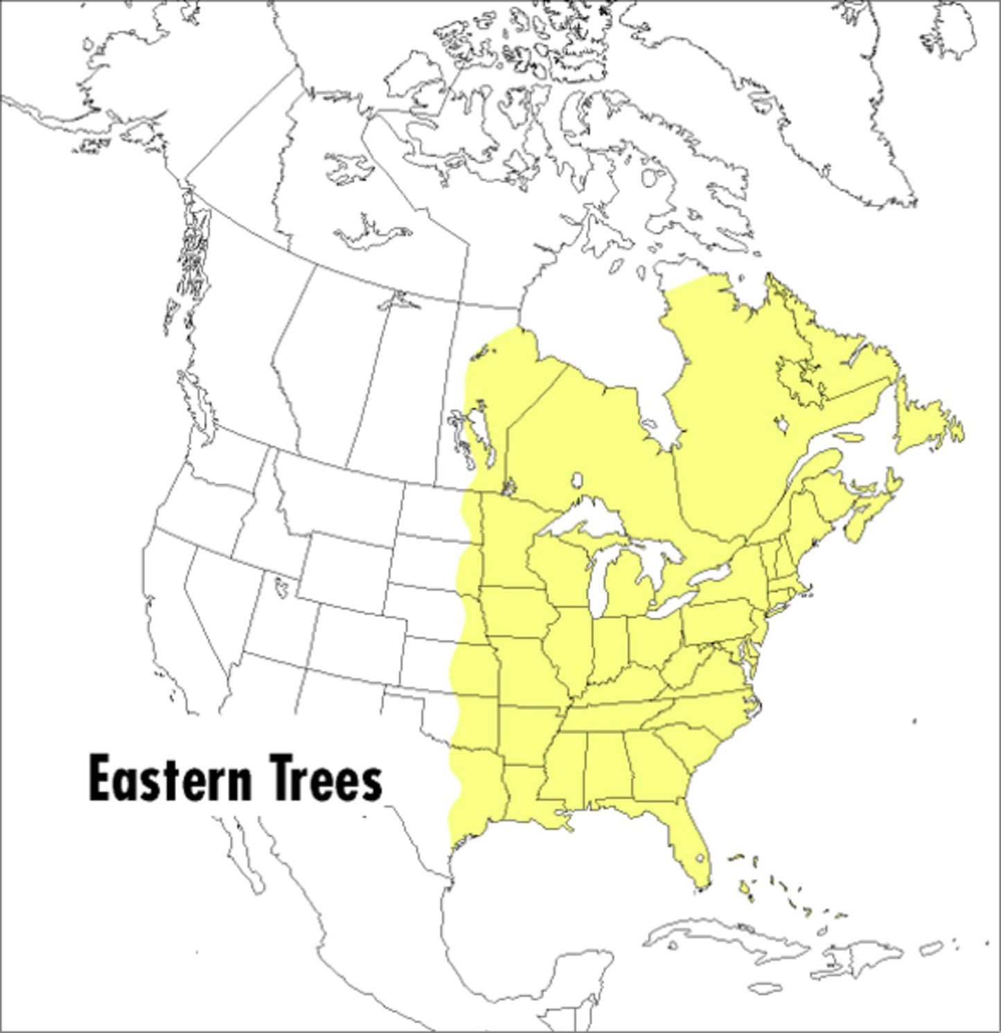 A Peterson Field Guide To Eastern Trees: Eastern United Stat