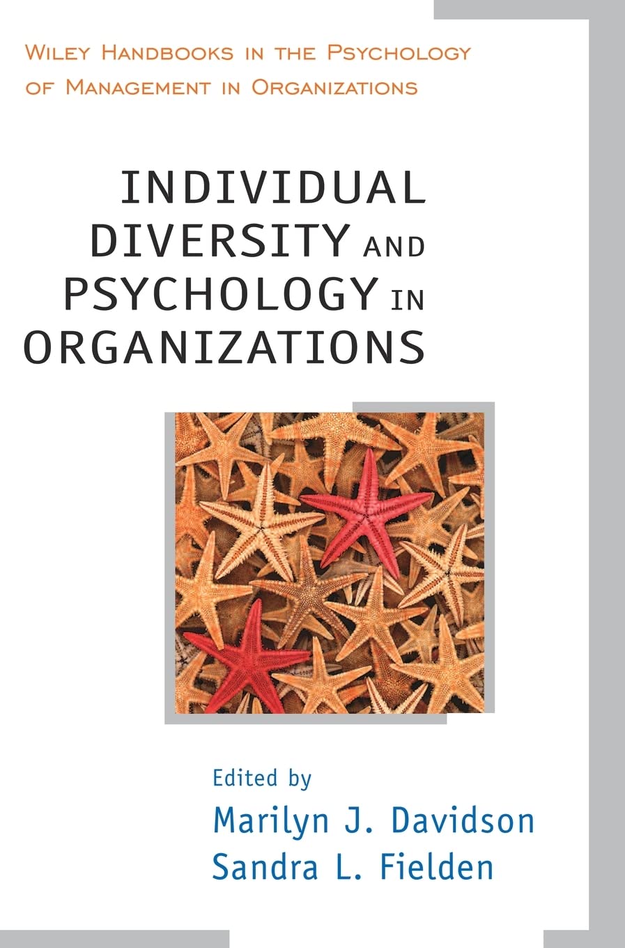 Individual Diversity and Psychology in Organizations (Wiley Handbooks in Work & Organizational Psychology)