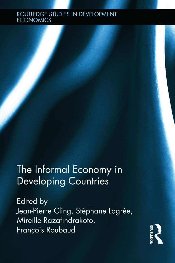 The Informal Economy in Developing Countries (Routledge Studies in Development Economics)
