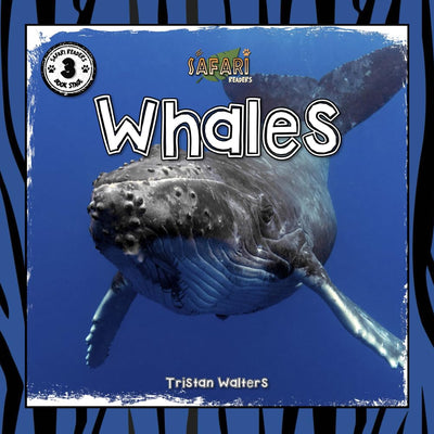 Whales: Safari Readers (Safari Readers - Wildlife Books for Kids)