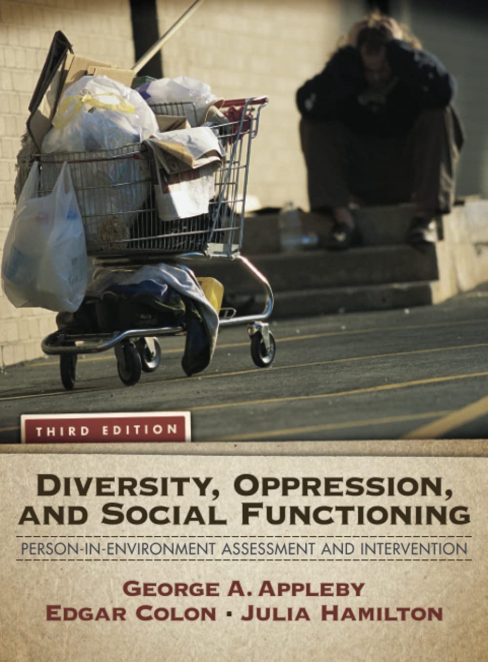 Diversity, Oppression, and Social Functioning: Person-In-Environment Assessment and Intervention