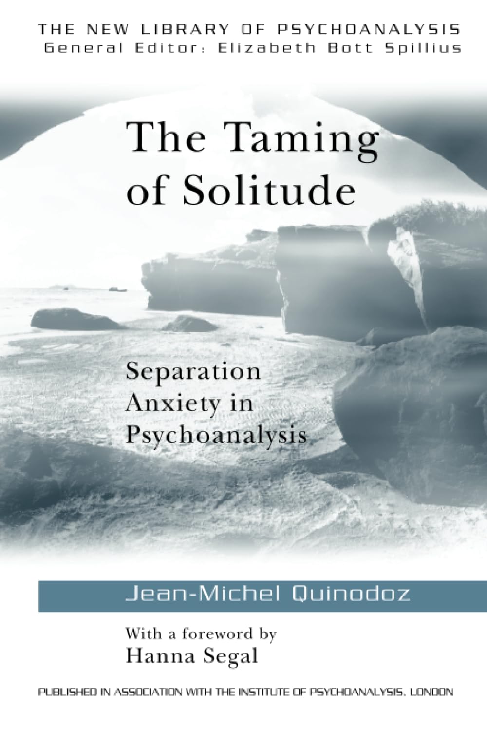 The Taming of Solitude (The New Library of Psychoanalysis)