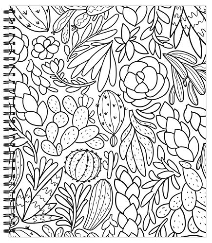 Large Print Easy Color & Frame - Stress Free (Adult Coloring