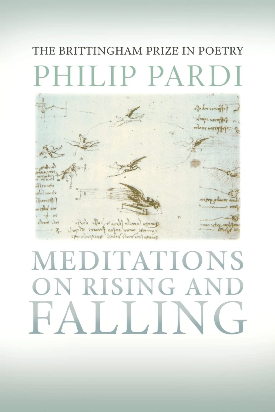 Meditations on Rising and Falling: Meditations on Rising and Falling (Wisconsin Poetry Series)