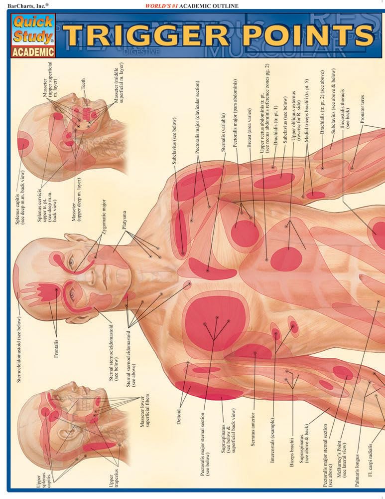 Trigger Points QuickStudy Laminated Reference Guide (QuickStudy Academic)