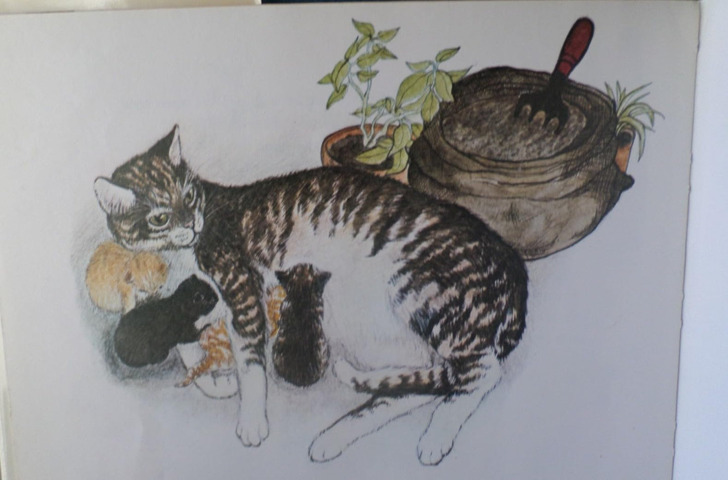 A Kindle of Kittens by Rumer Godden