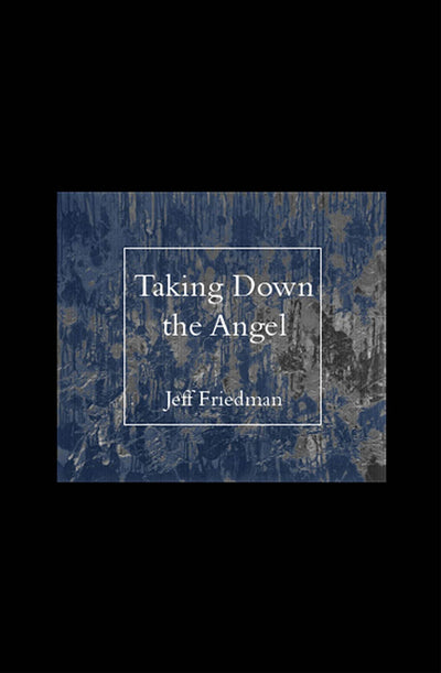 Taking Down the Angel (Carnegie Mellon Poetry)