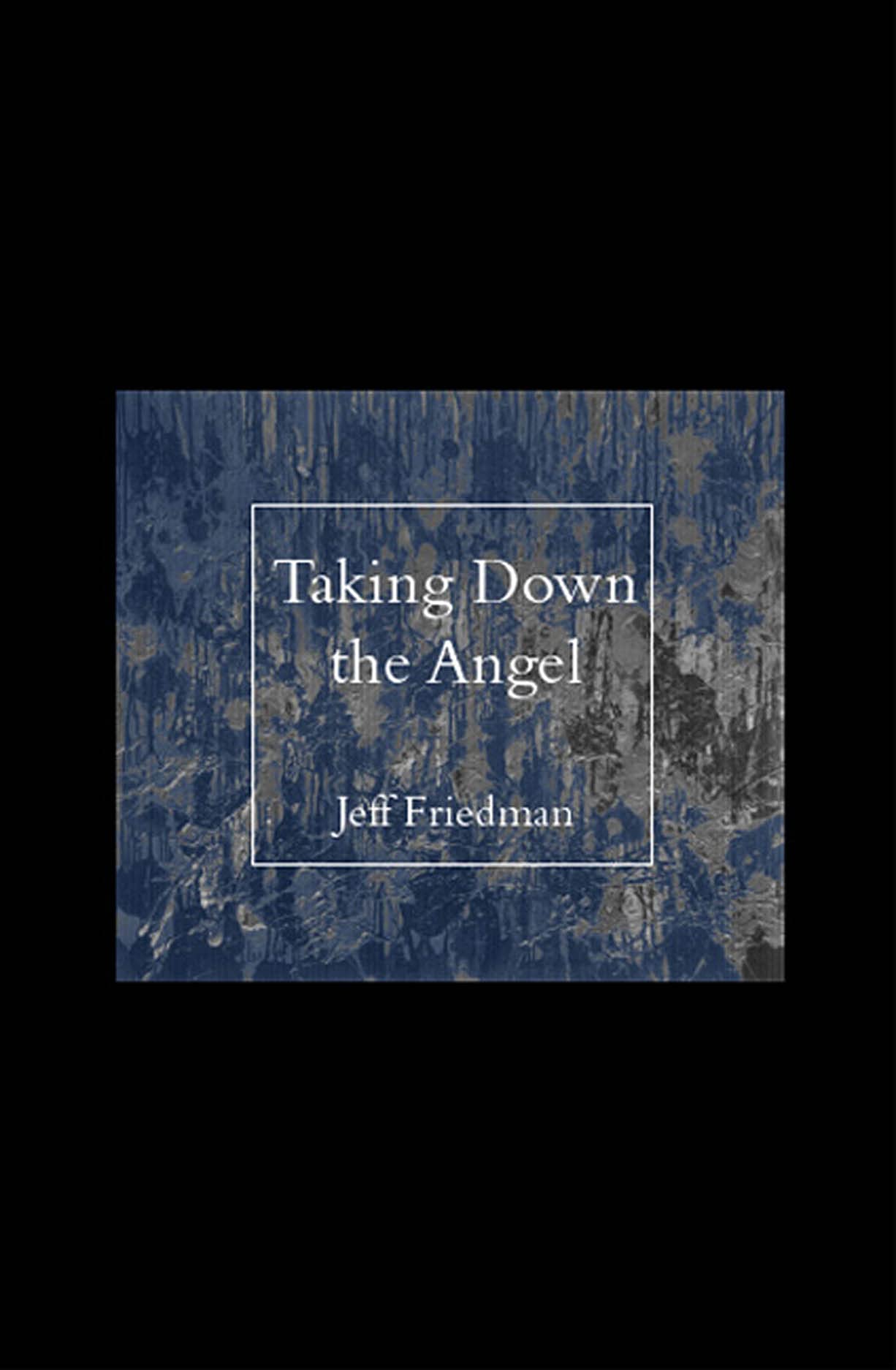 Taking Down the Angel (Carnegie Mellon Poetry)