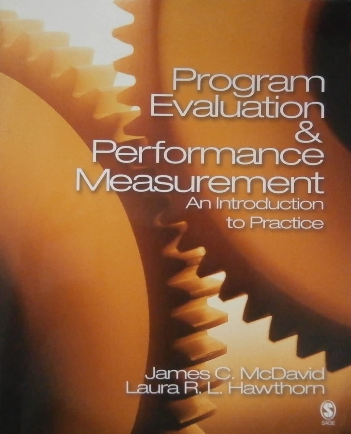 Program Evaluation and Performance Measurement: An Introduction to Practice
