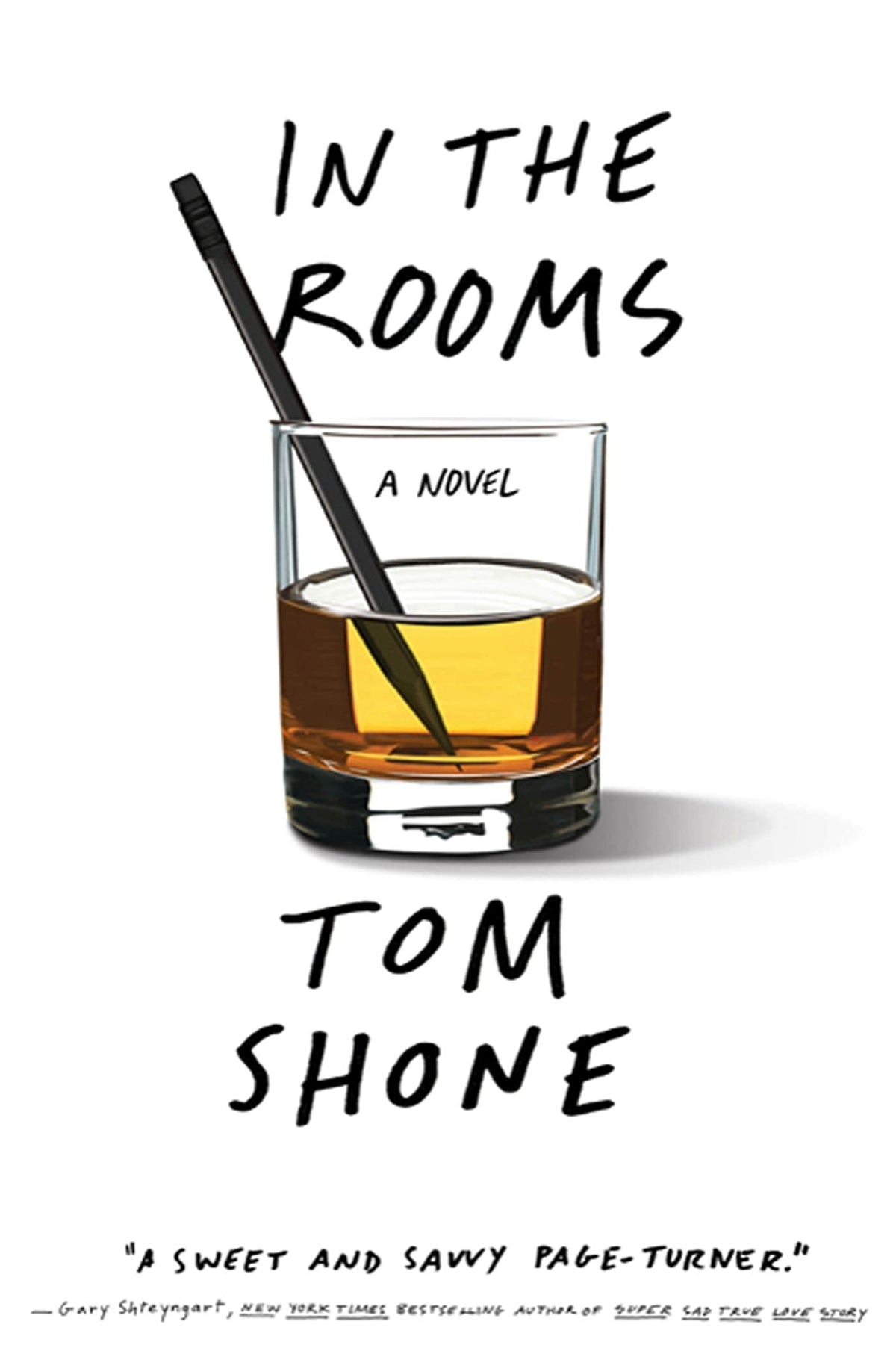 In the Rooms: A Novel