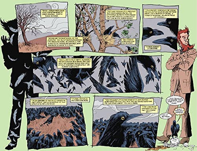 The Sandman Book Three
