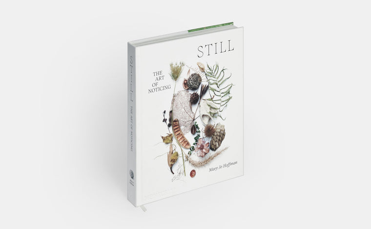 STILL: The Art of Noticing — back cover