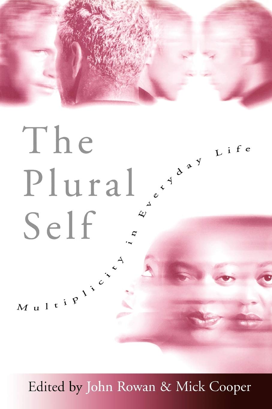 The Plural Self: Multiplicity in Everyday Life by Rowan, Joh
