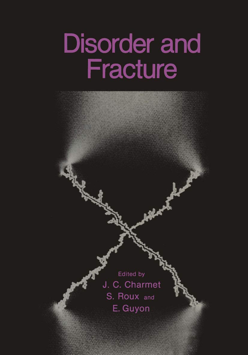 Disorder and Fracture (NATO Science Series B:, 235)