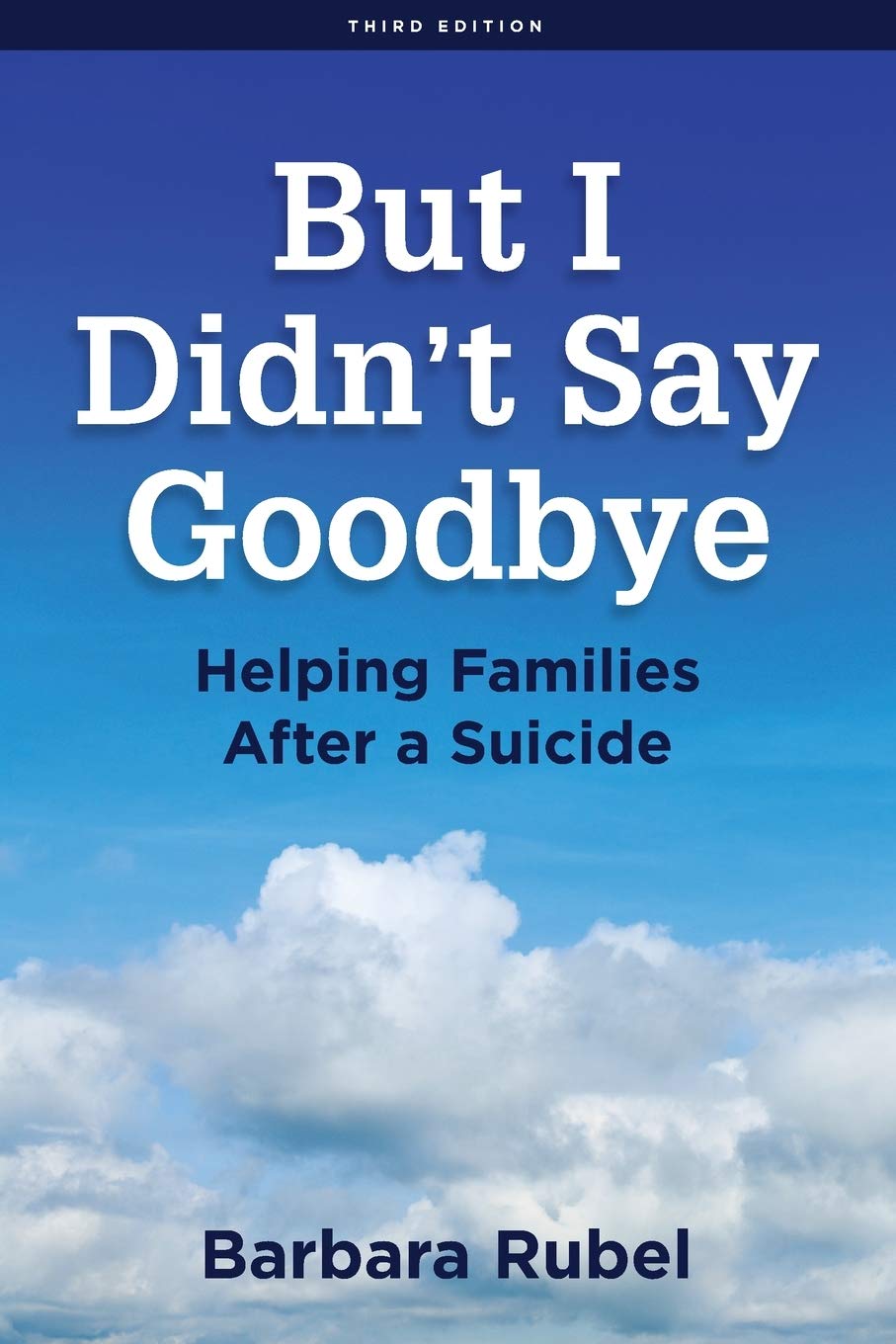 But I Didnt Say Goodbye: Helping Families After a Suicide