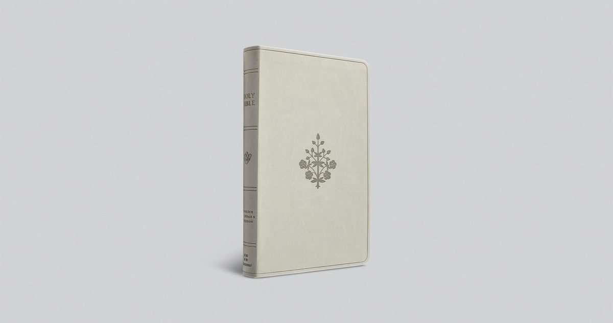ESV Large Print Value Thinline Bible (TruTone, River Stone, Branch Design): Holy Bible, English Standard Version