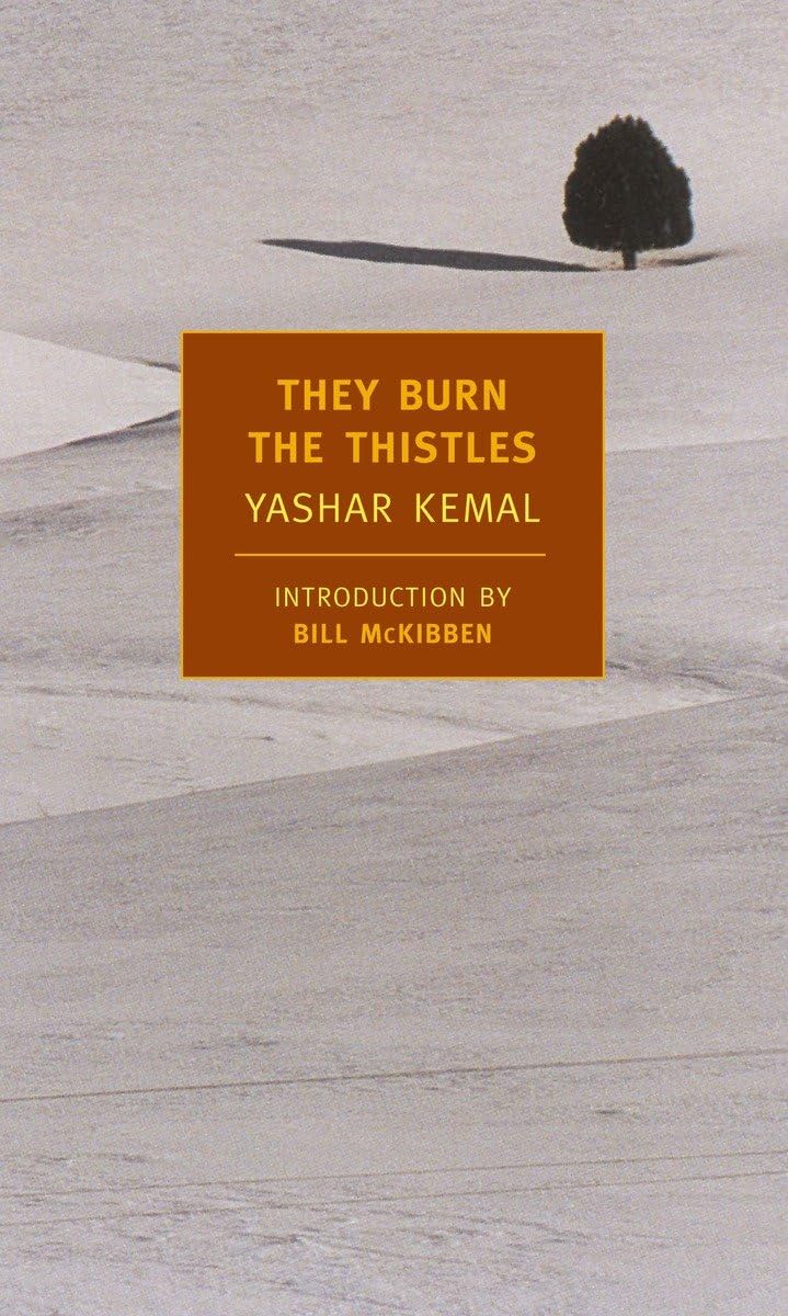 They Burn the Thistles (Memed)
