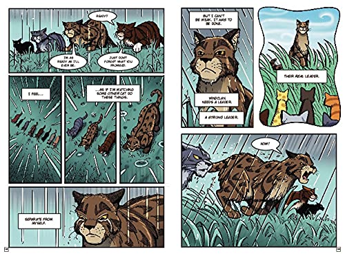 Warriors: Winds of Change (Full-Color Adventure): A Full-Color Clan Adventure About Power Struggles and a Dangerous New Leader